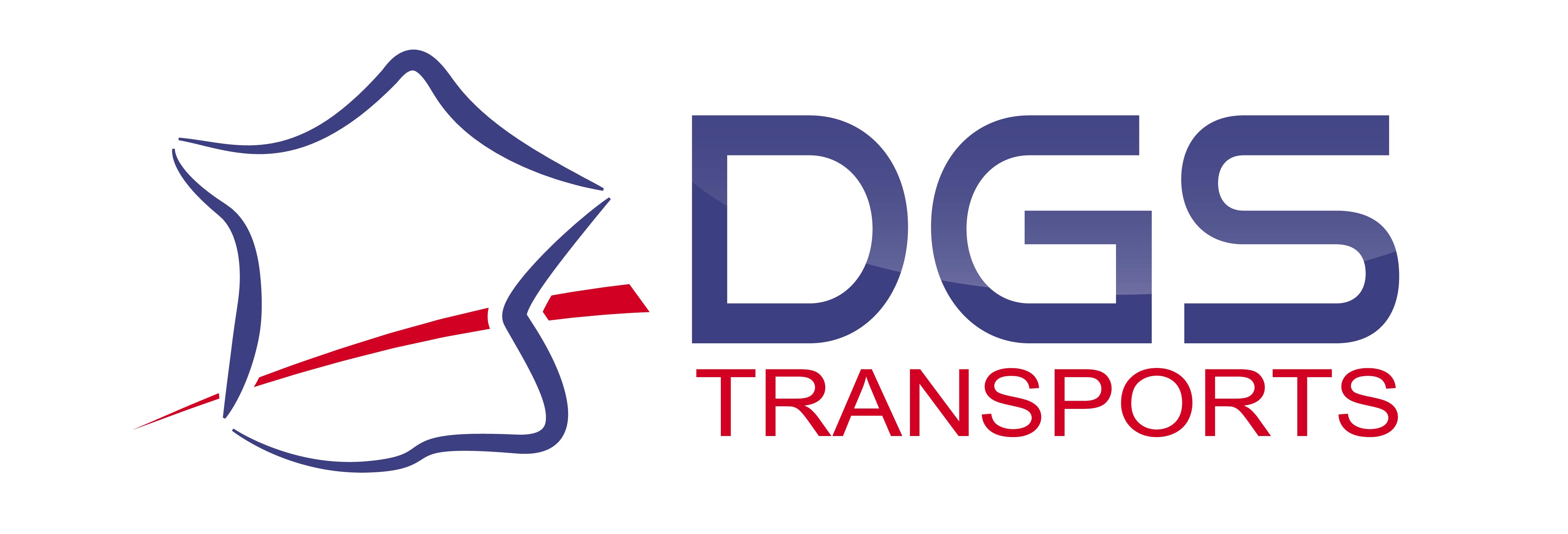 logo_DGS_color_v-02-bis